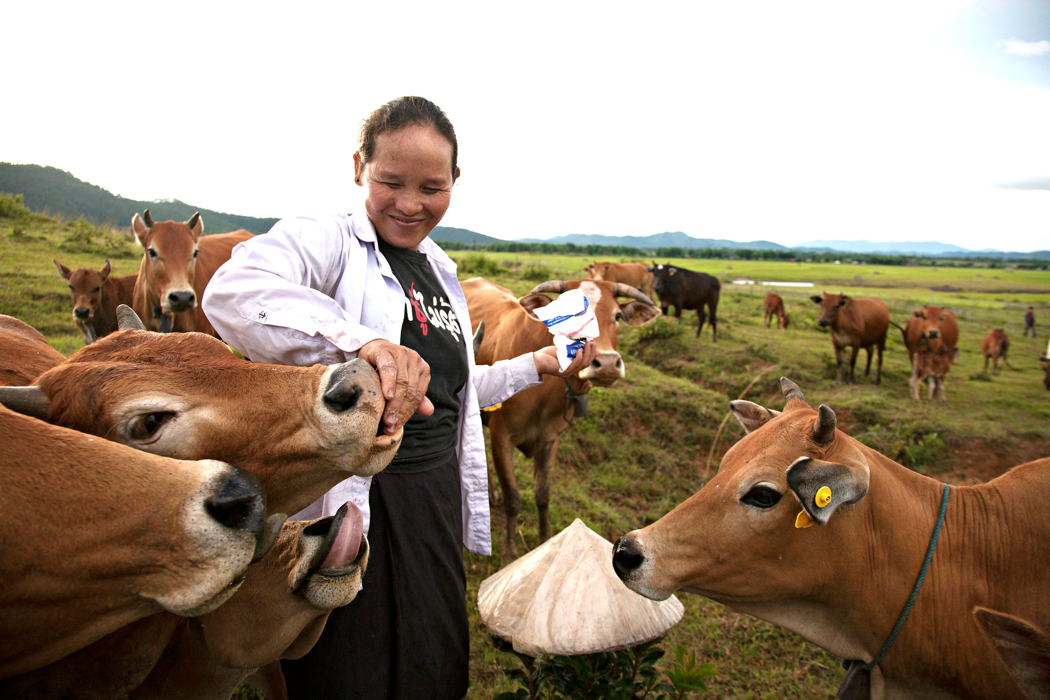 Healthy, well cared for livestock contribute to improved animal, human and  environment health