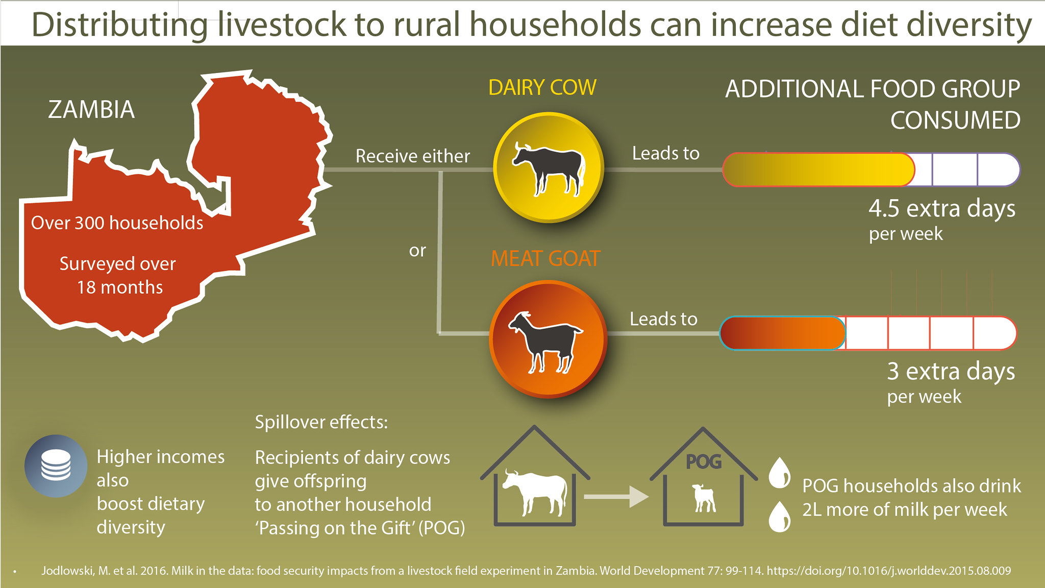 Infographic showing distributing livestock to rural households can increase diet diversity