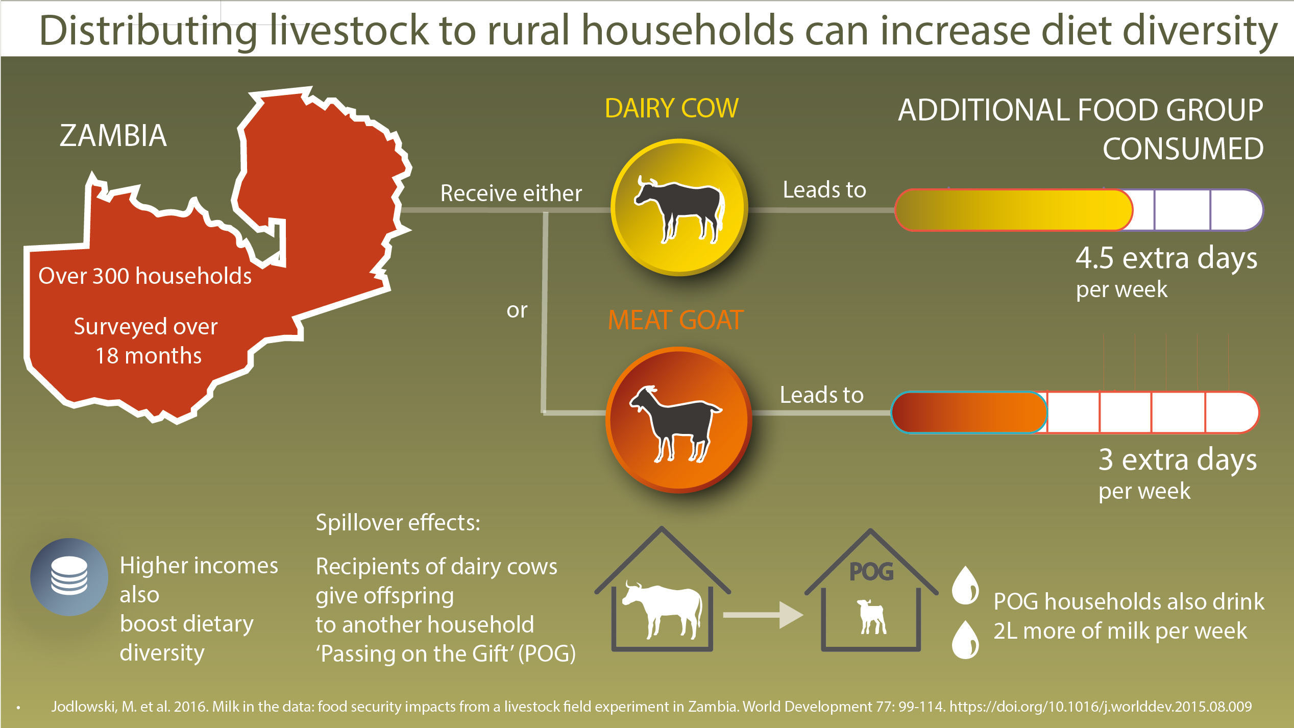 Distributing livestock to rural households can increase diet diversity