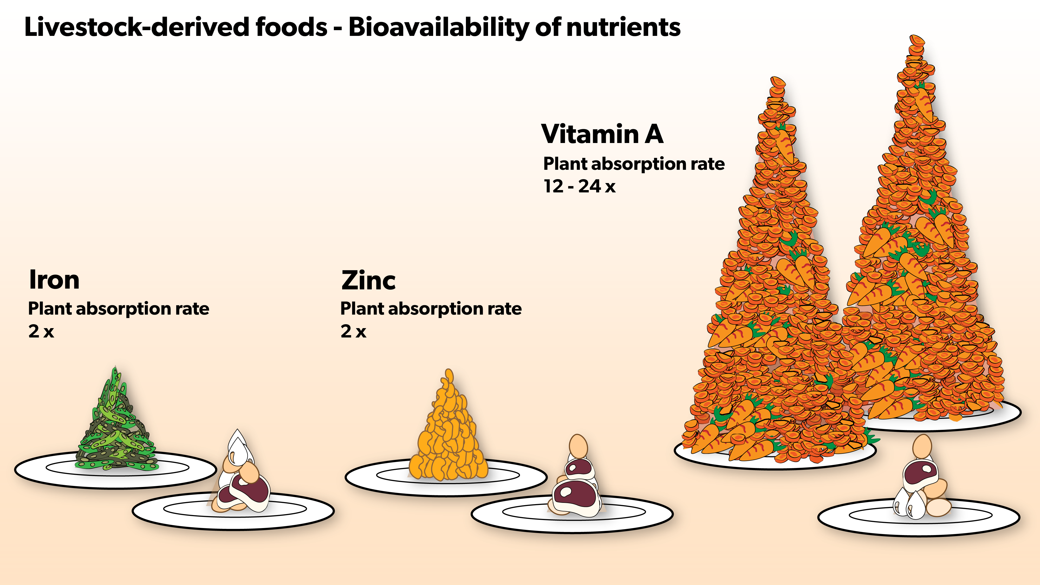 Livestock-derived foods - Bioavailability of nutrients