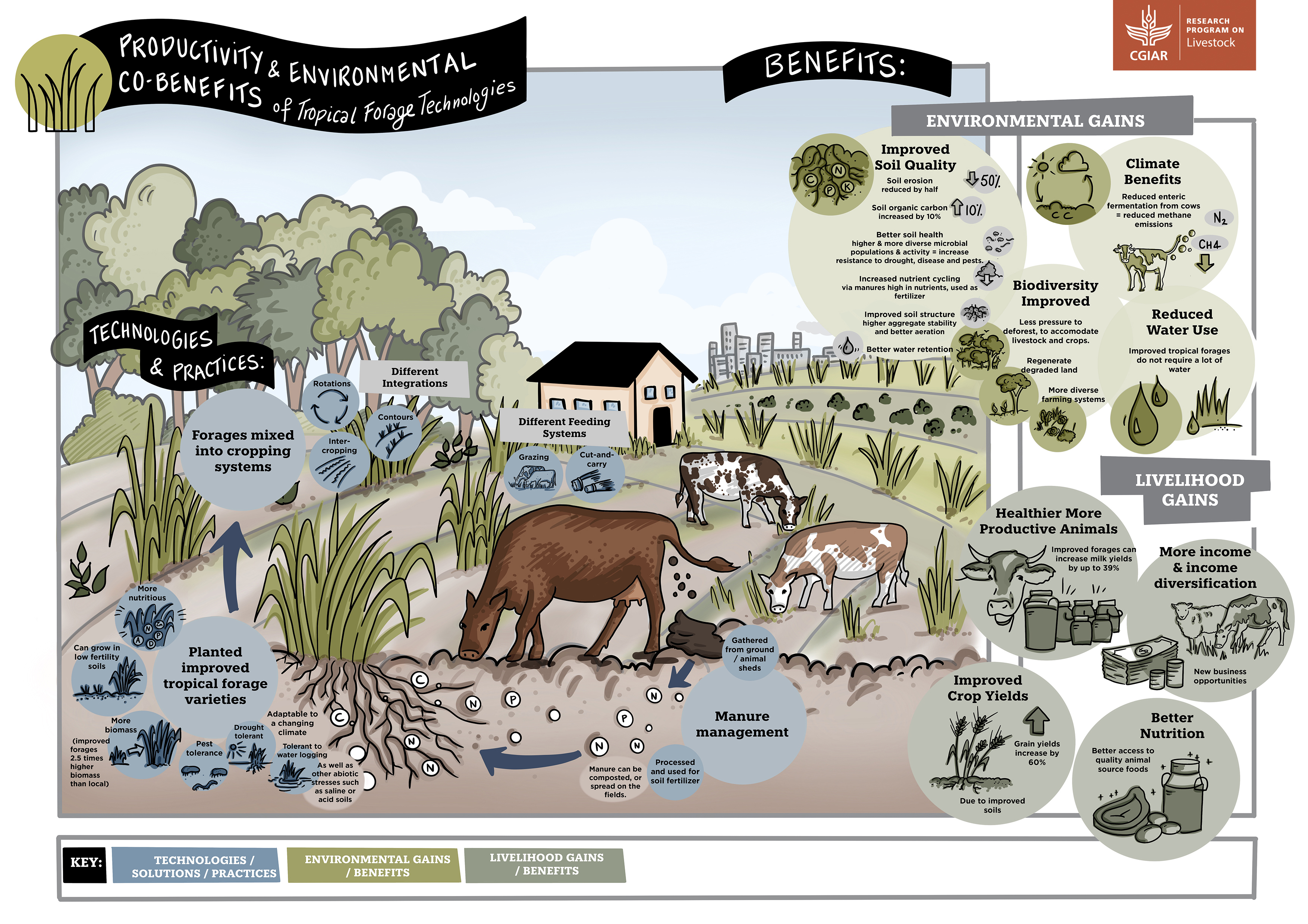 Infographic showing productivity and environmental co-benefits of tropical forage technologies