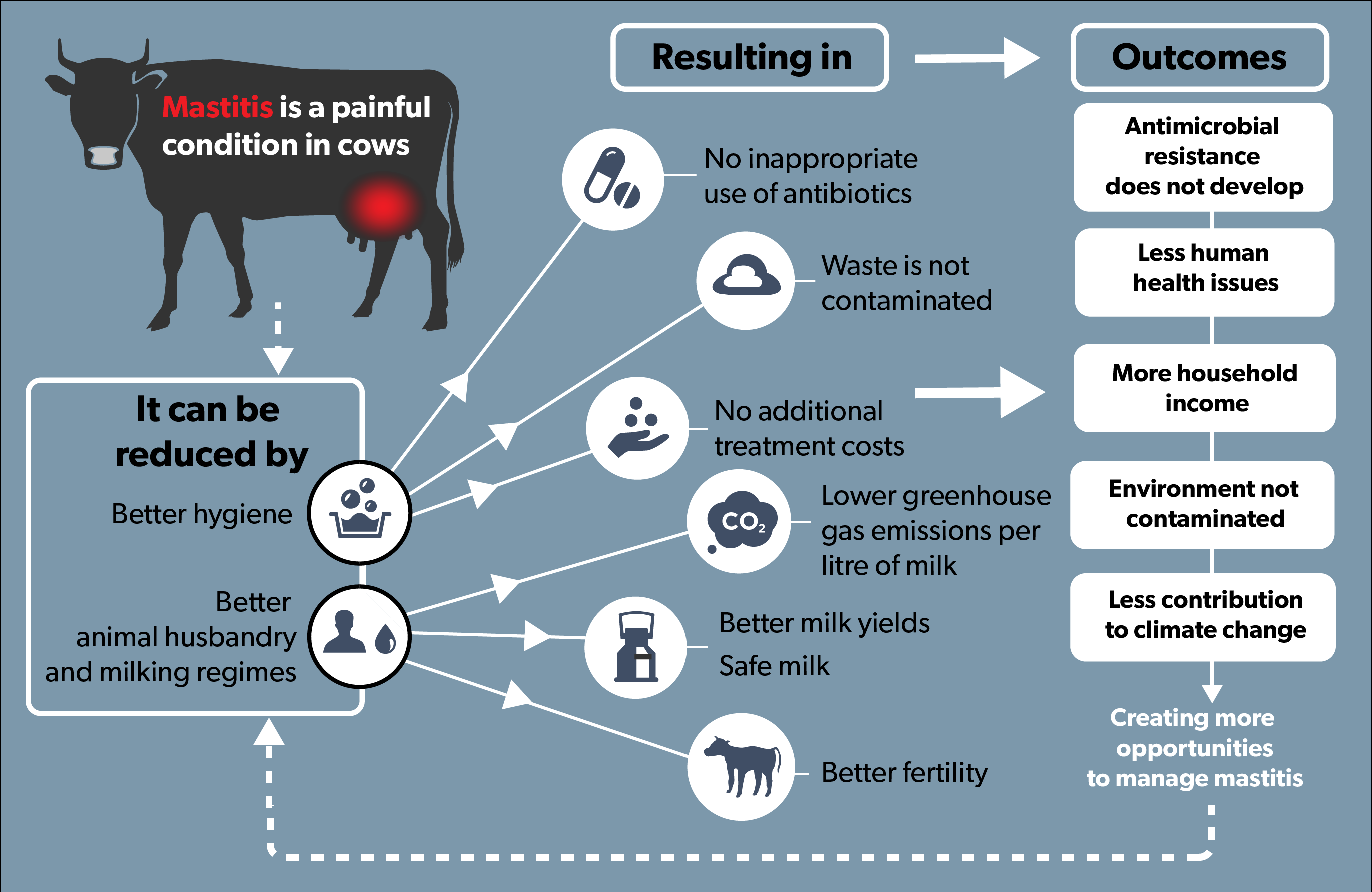 Mastitis