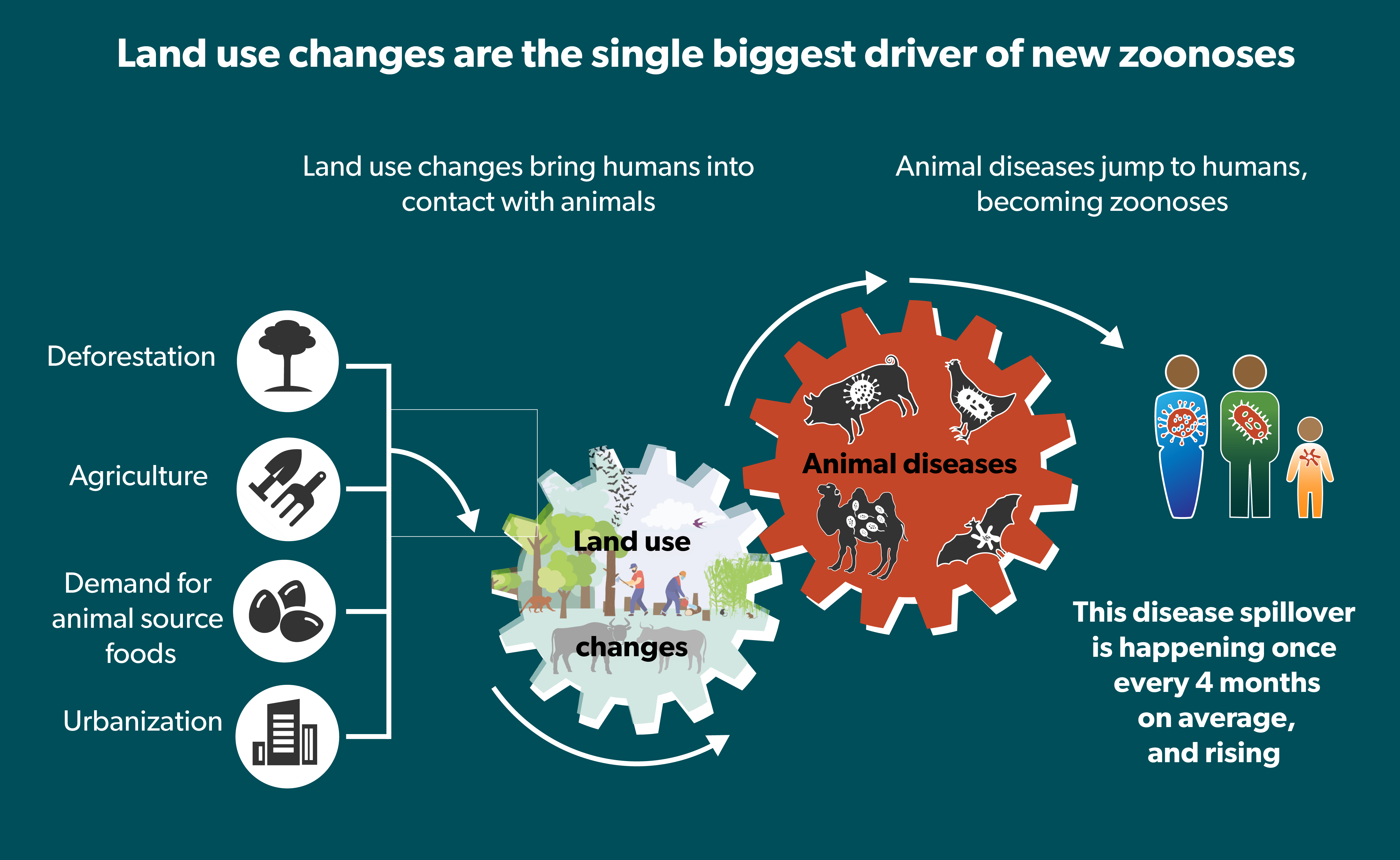 Land use changes drive zoonosis spillover events