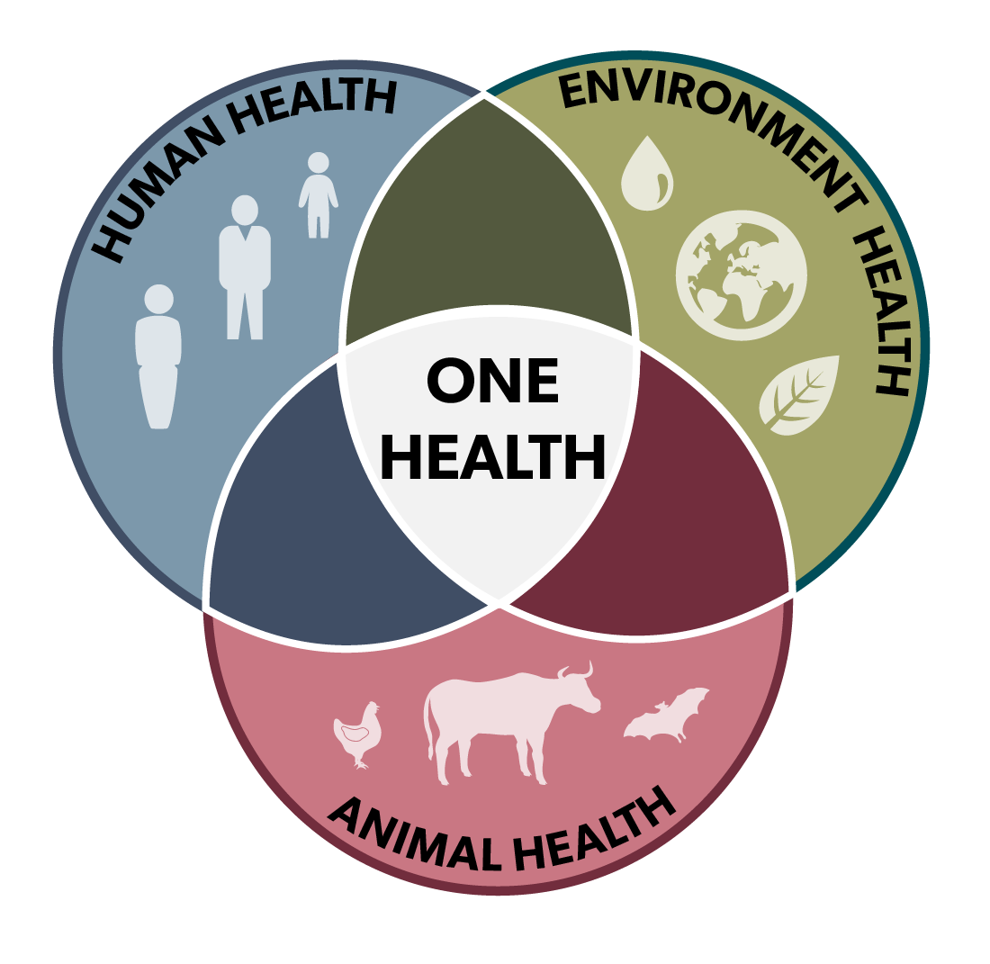 One health infographic representing the intersection between human, animal and environment health 