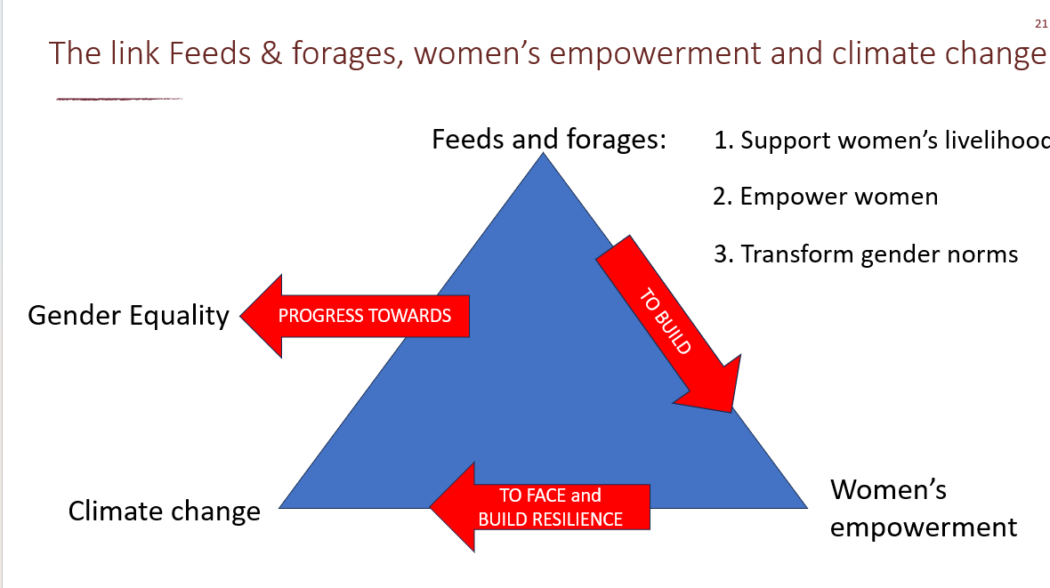 Diagram showing how feeds and forages, women’s empowerment, and climate change are connected and can progress towards gender equality. Photo: ILRI/Alessandra Galie. 