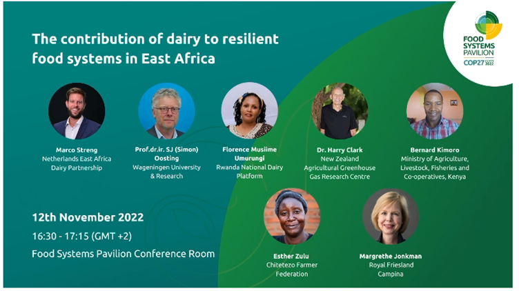 How can dairy contribute to a resilient food system?