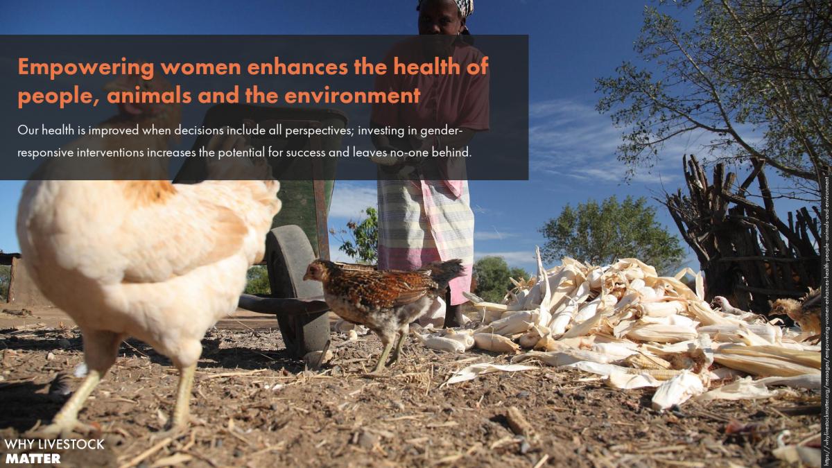 Empowering women enhances the health of people, animals and the environment