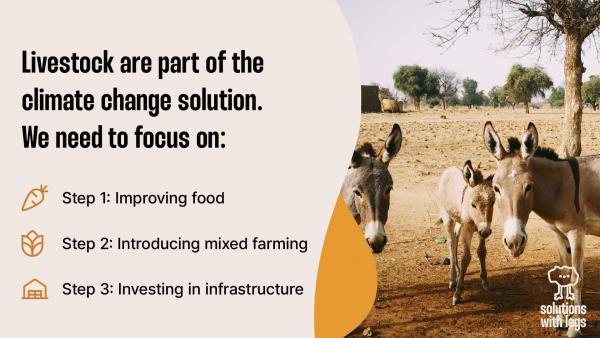 Invest in improving food, introducing mixed farming, and investing in infrastructure.