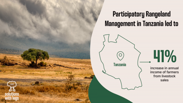 Participatory rangeland management in Tanzania led to a 41 percent increase in livestock sales